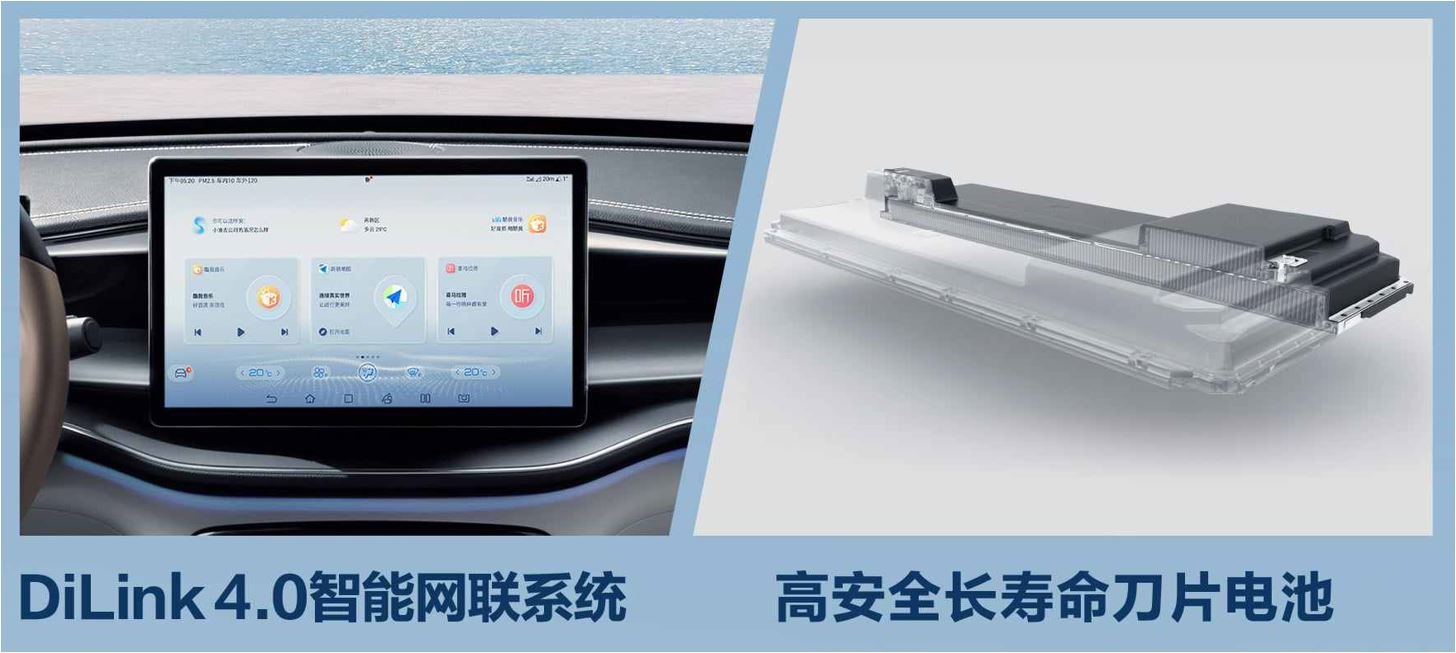 Qin Plus