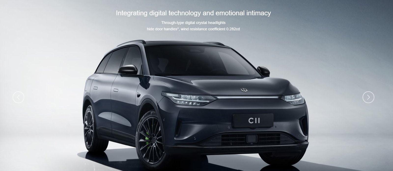 C 11