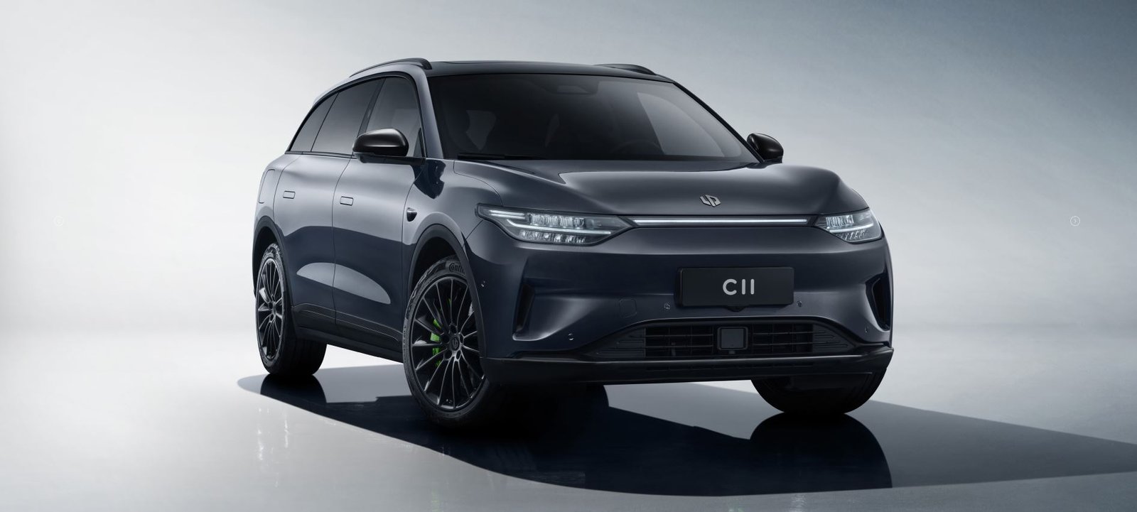 C 11
