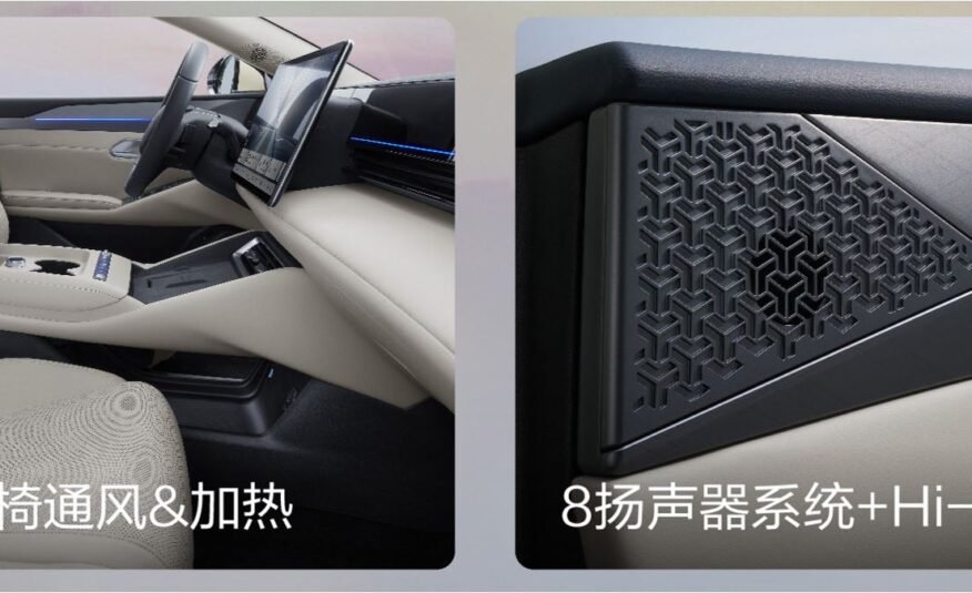 Qin L