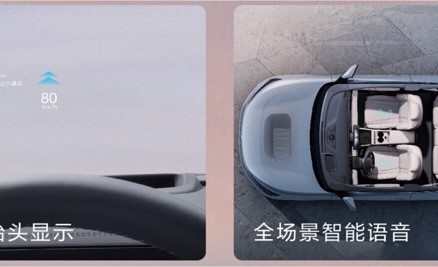 Qin L