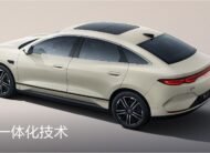 Qin L