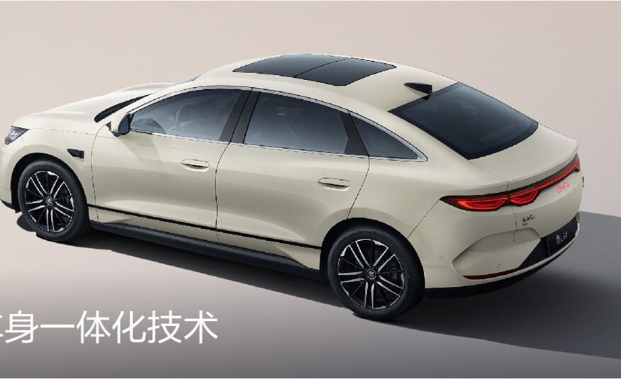 Qin L
