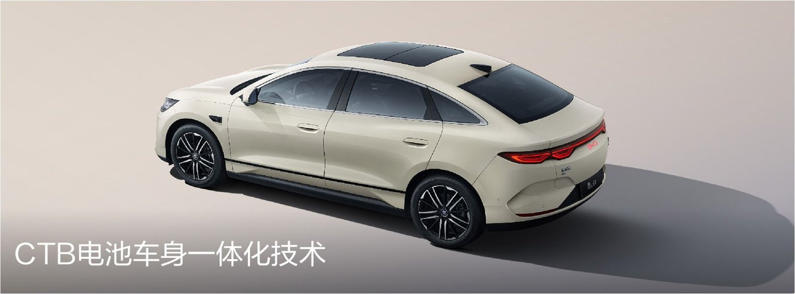 Qin L